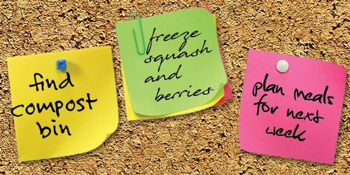 post it notes on cork board: find compost bin, freeze squash and berries, plan meals for next week.